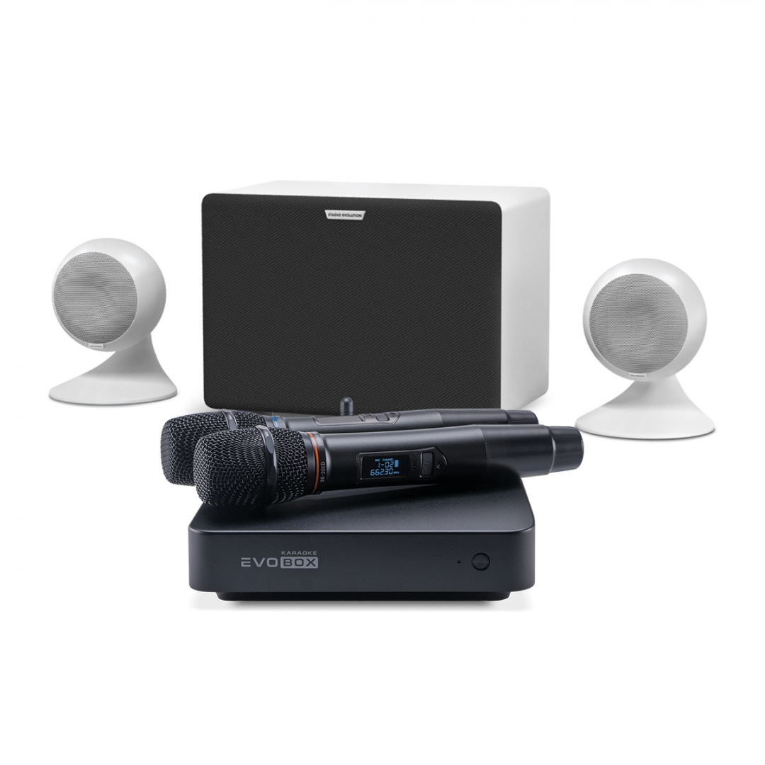 караоке-комплект EVOBOX Classic + EvoSound Sphere 2.1 в Вологодской области